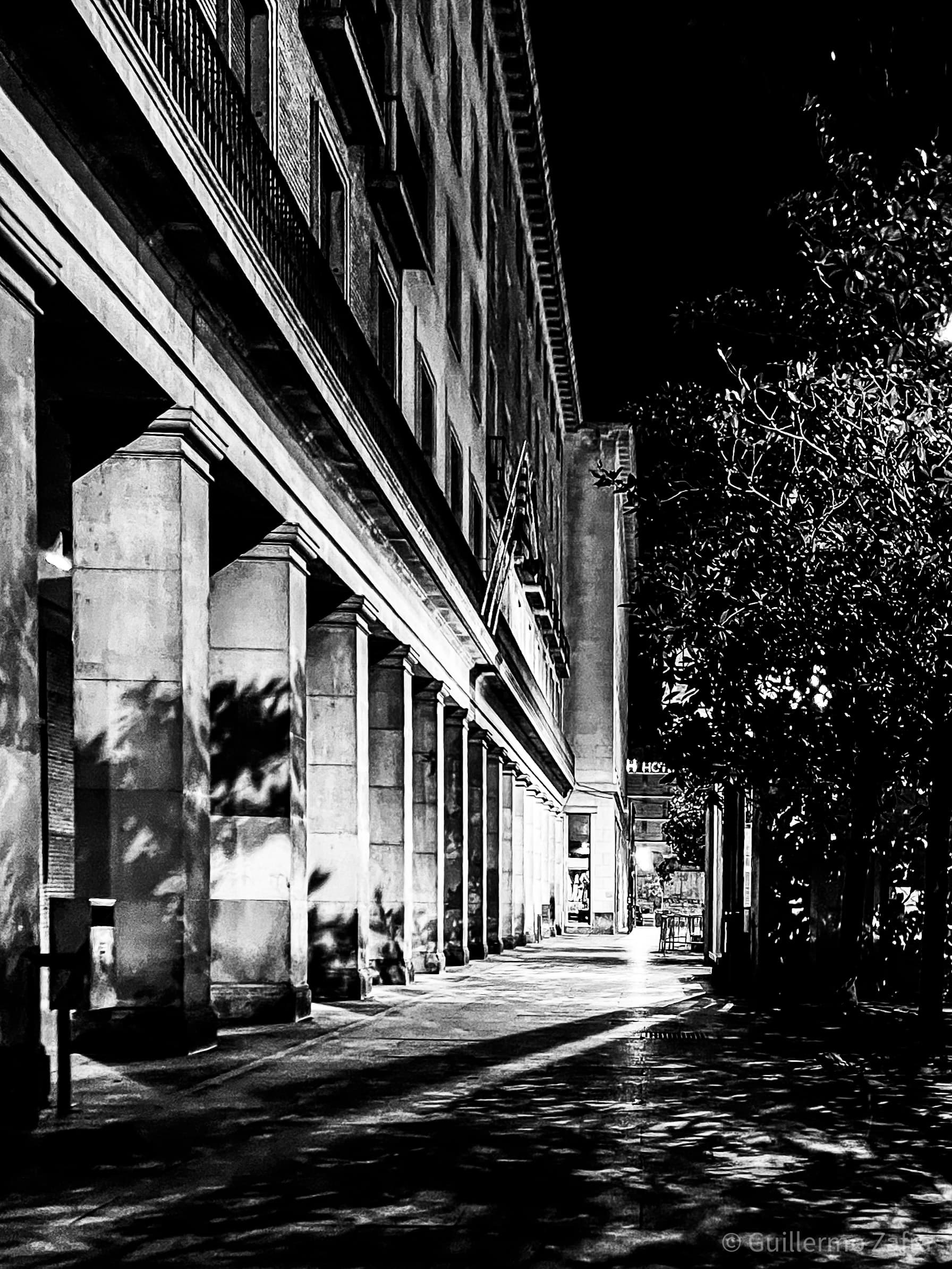 20221116 IMG_4767