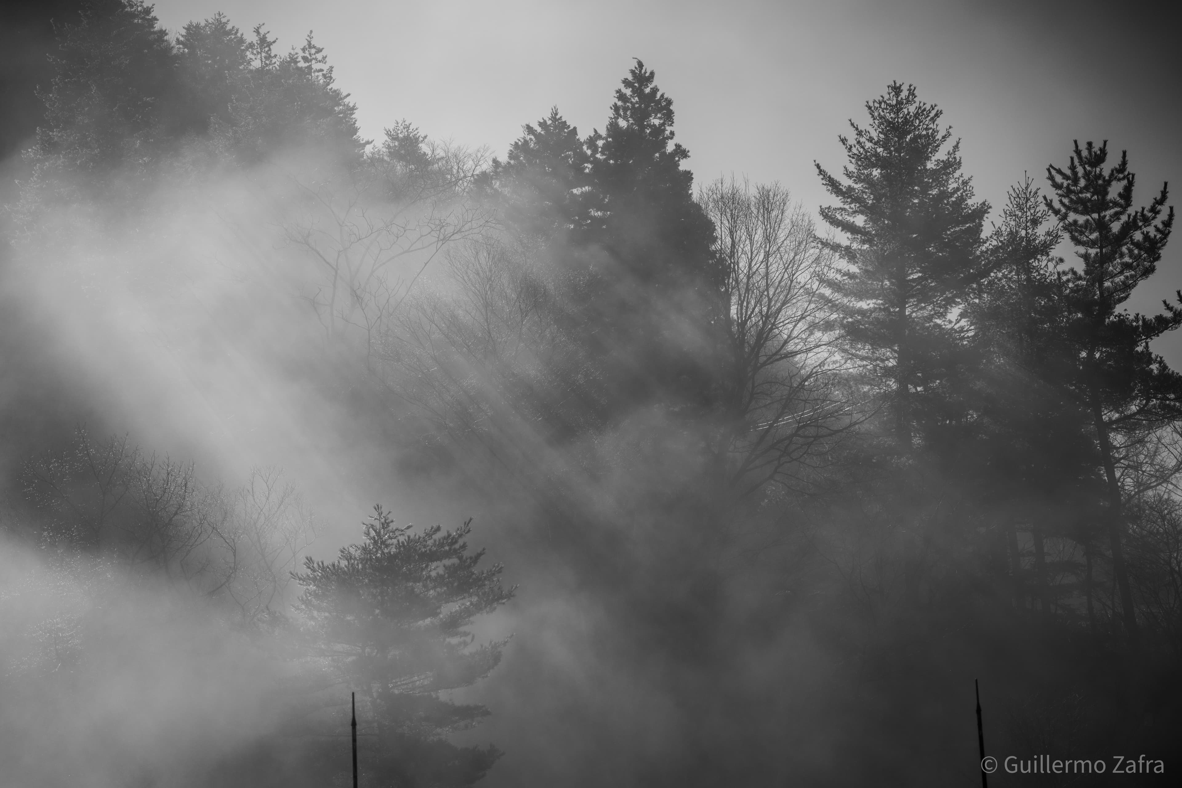 20230307 _DSC2557
