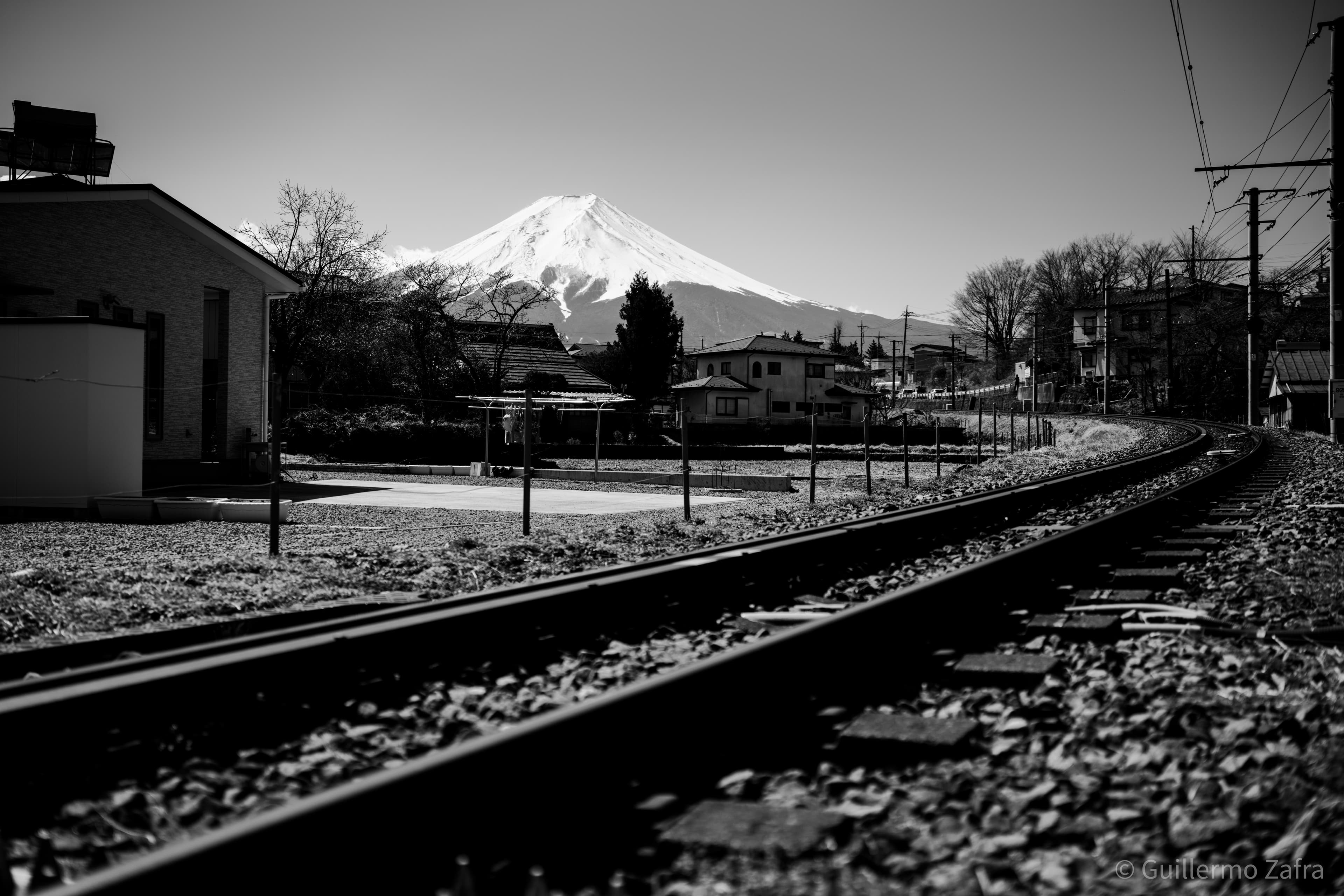 20230307 _DSC2788