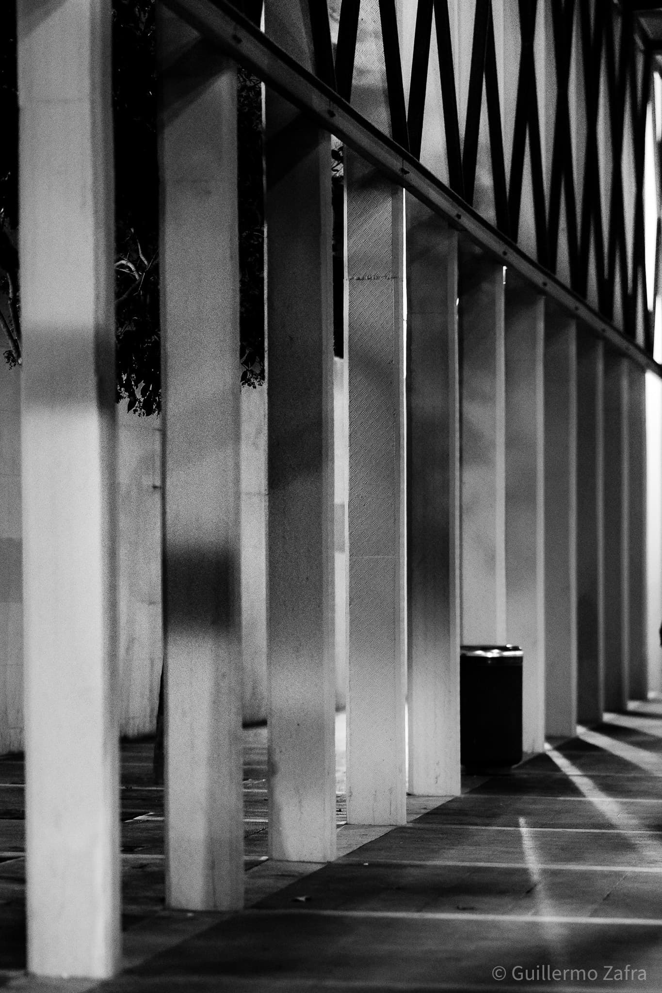20201215 DSC01438