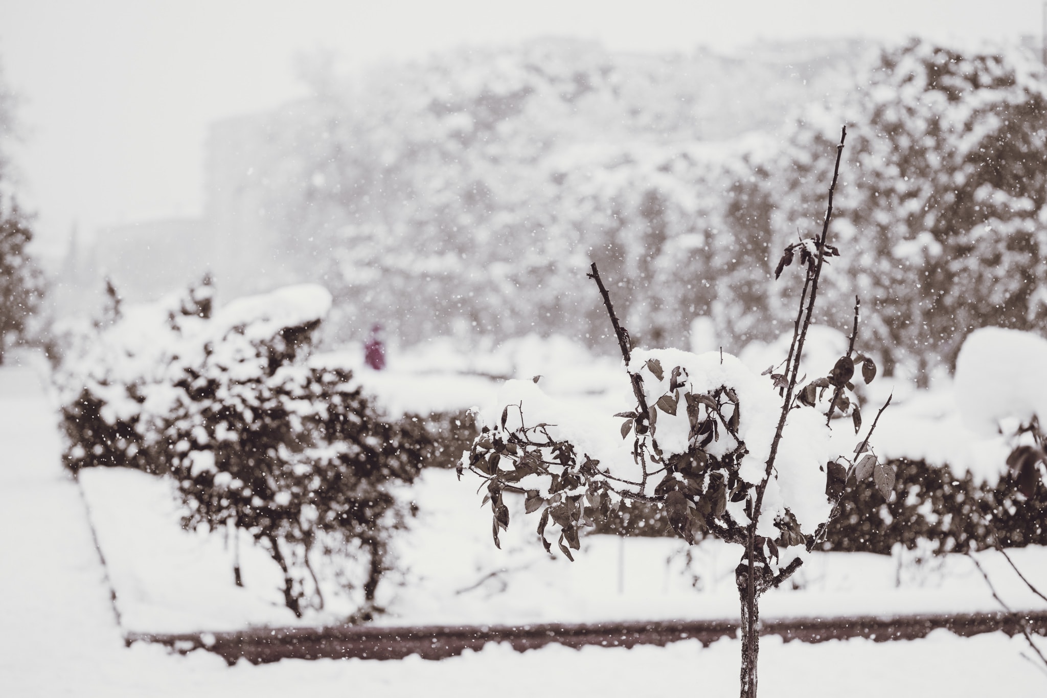 Snow in Zaragoza